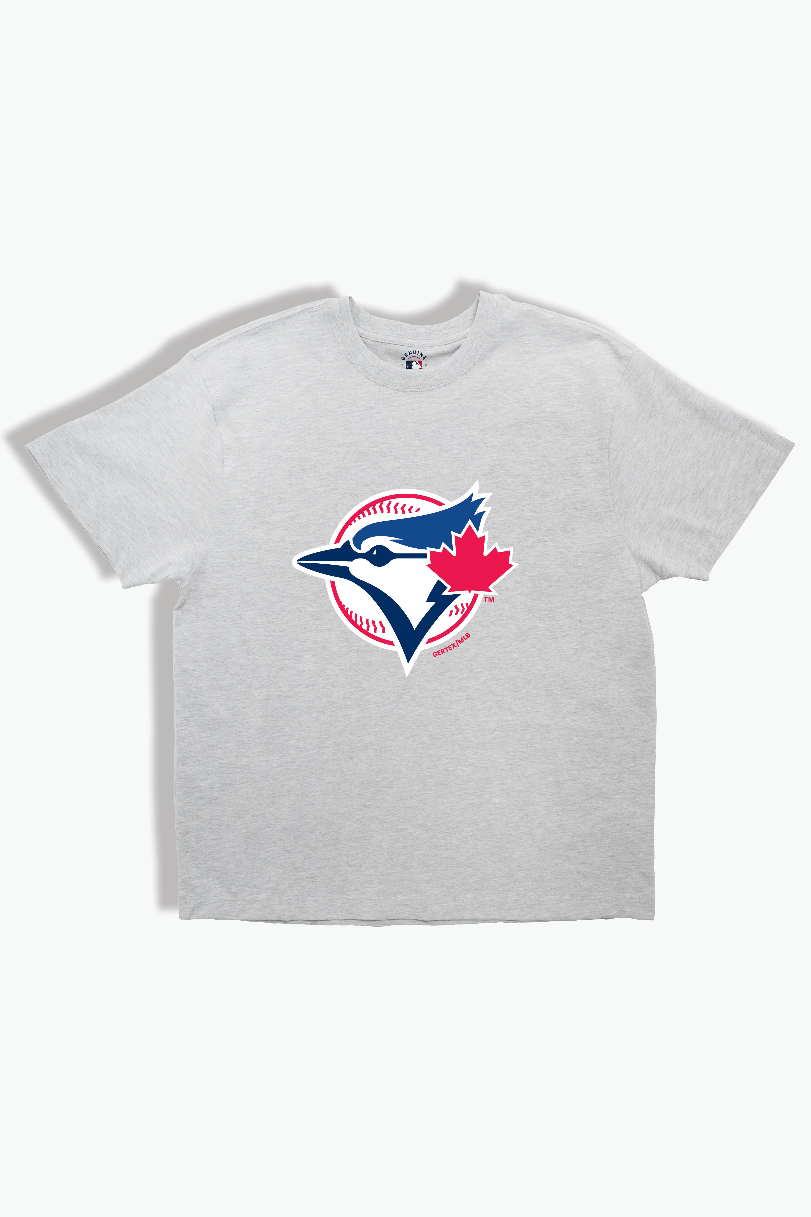 Toronto Blue Jays Kids Heather Grey T-Shirt MLB Youth Tee, Soft Combed Cotton, Boys & Girls S-XL