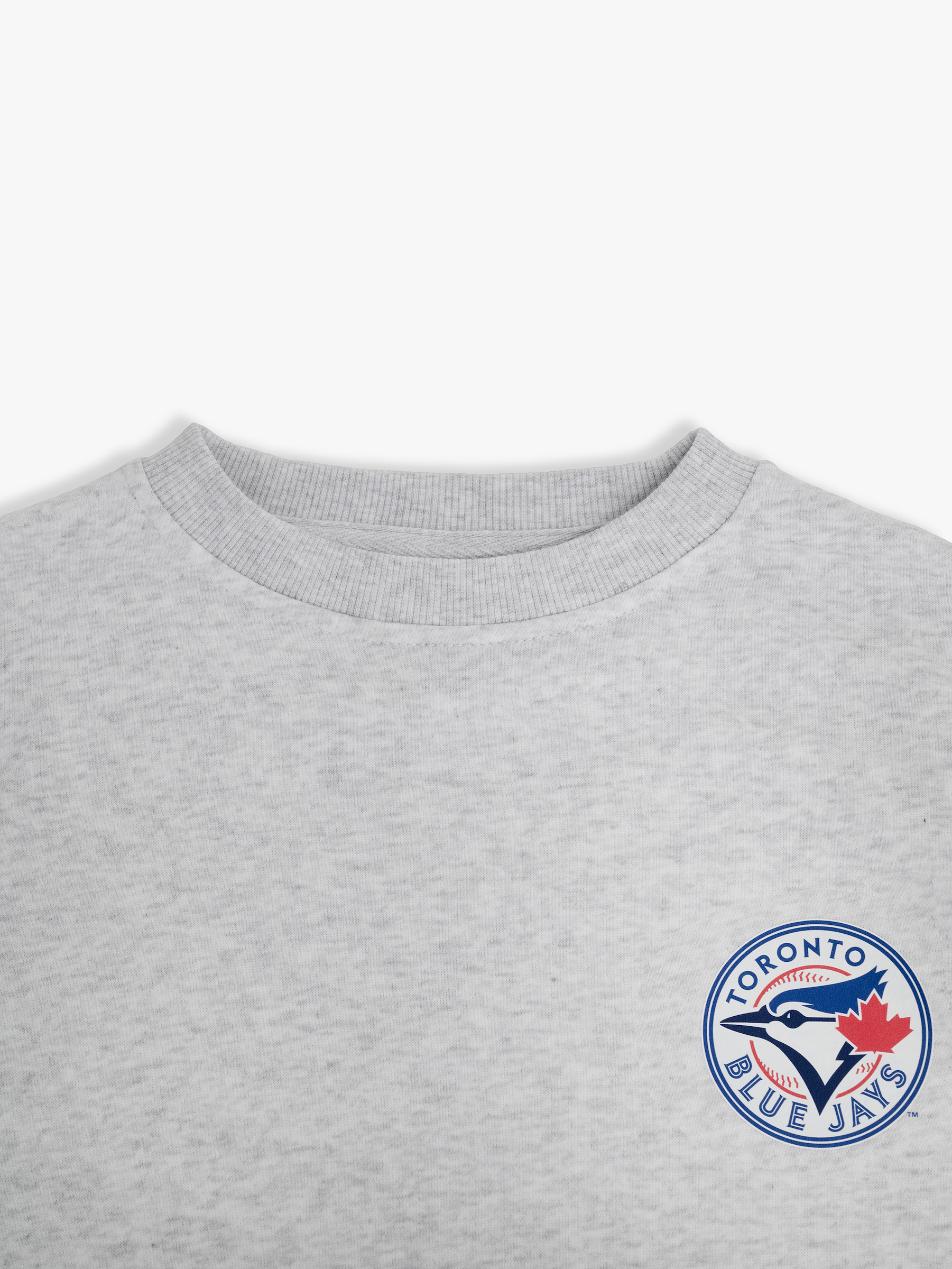 Toronto Blue Jays Kids Crewneck Sweatshirt Family Programme Pullover, Heather Grey French Terry, Youth