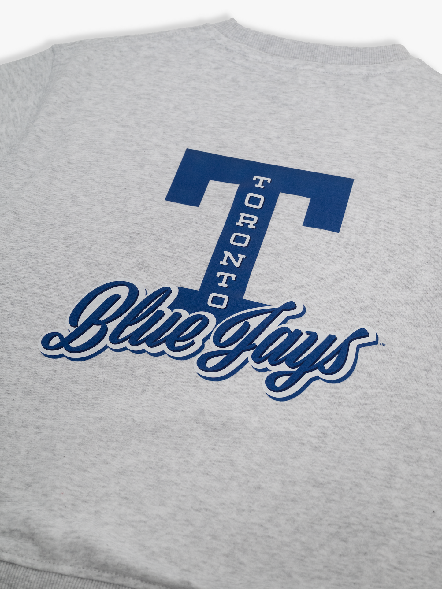 Toronto Blue Jays Kids Crewneck Sweatshirt Family Programme Pullover, Heather Grey French Terry, Youth