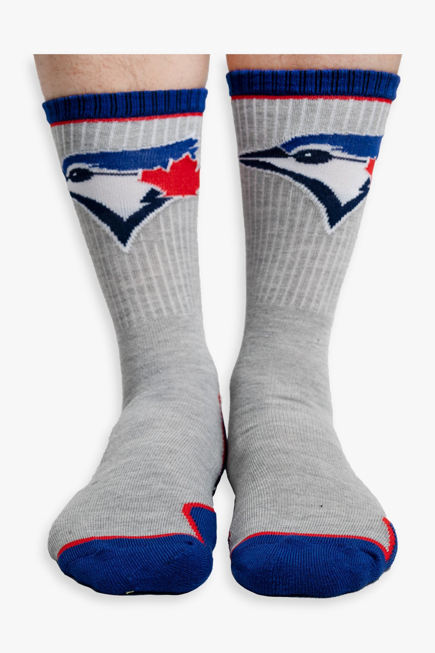 MLB Toronto Blue Jays Men's Crew Sock - 2 Pack - Shoe Size 7-12